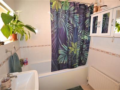 Picture 23